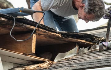 common causes of Hobbles Green fascia damage