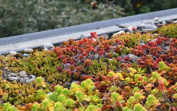 the cost of Hobbles Green green roof installation