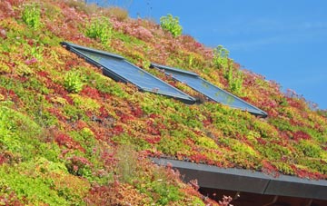 Hobbles Green living roof systems