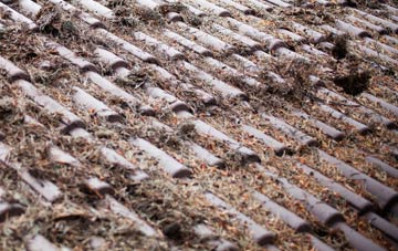 Hobbles Green roof cleaning companies