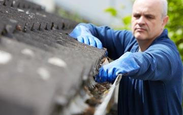 cleaning and inspecting Hobbles Green roofs